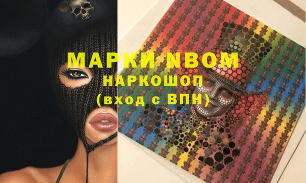 PSILOCYBIN Белокуриха