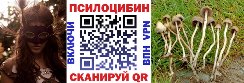 Псилоцибиновые грибы Magic Shrooms  Малмыж 